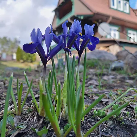 Apartment Przystanek Soszyca