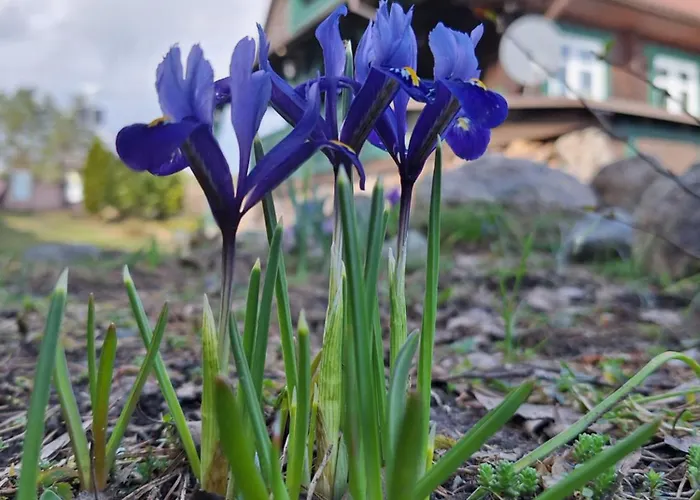 דירה Przystanek Soszyca