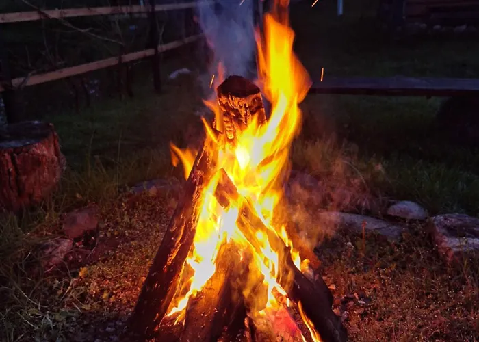 Przystanek Soszyca דירה Zukowko